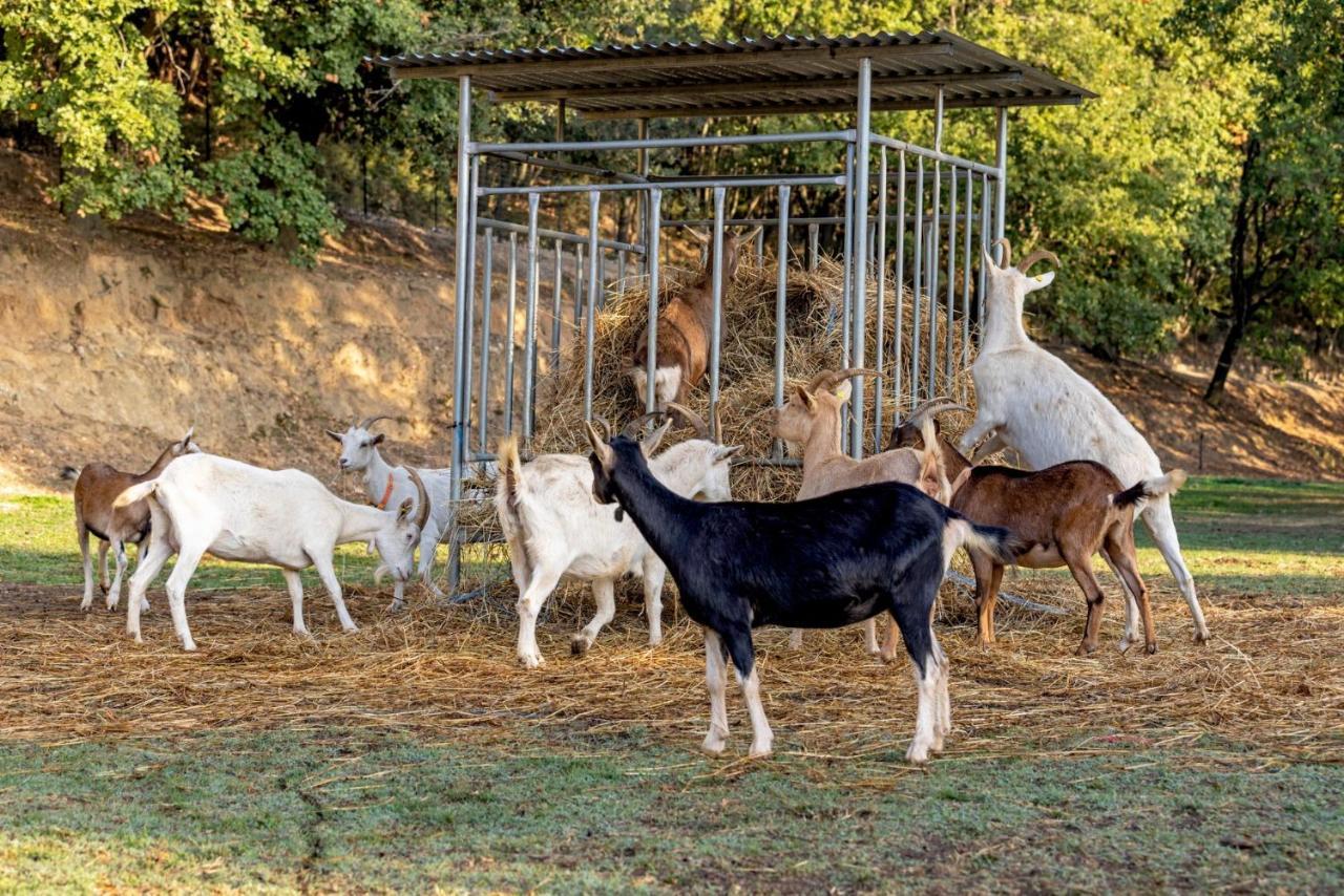 Agriturismo Cascina Trevo スポトルノ エクステリア 写真